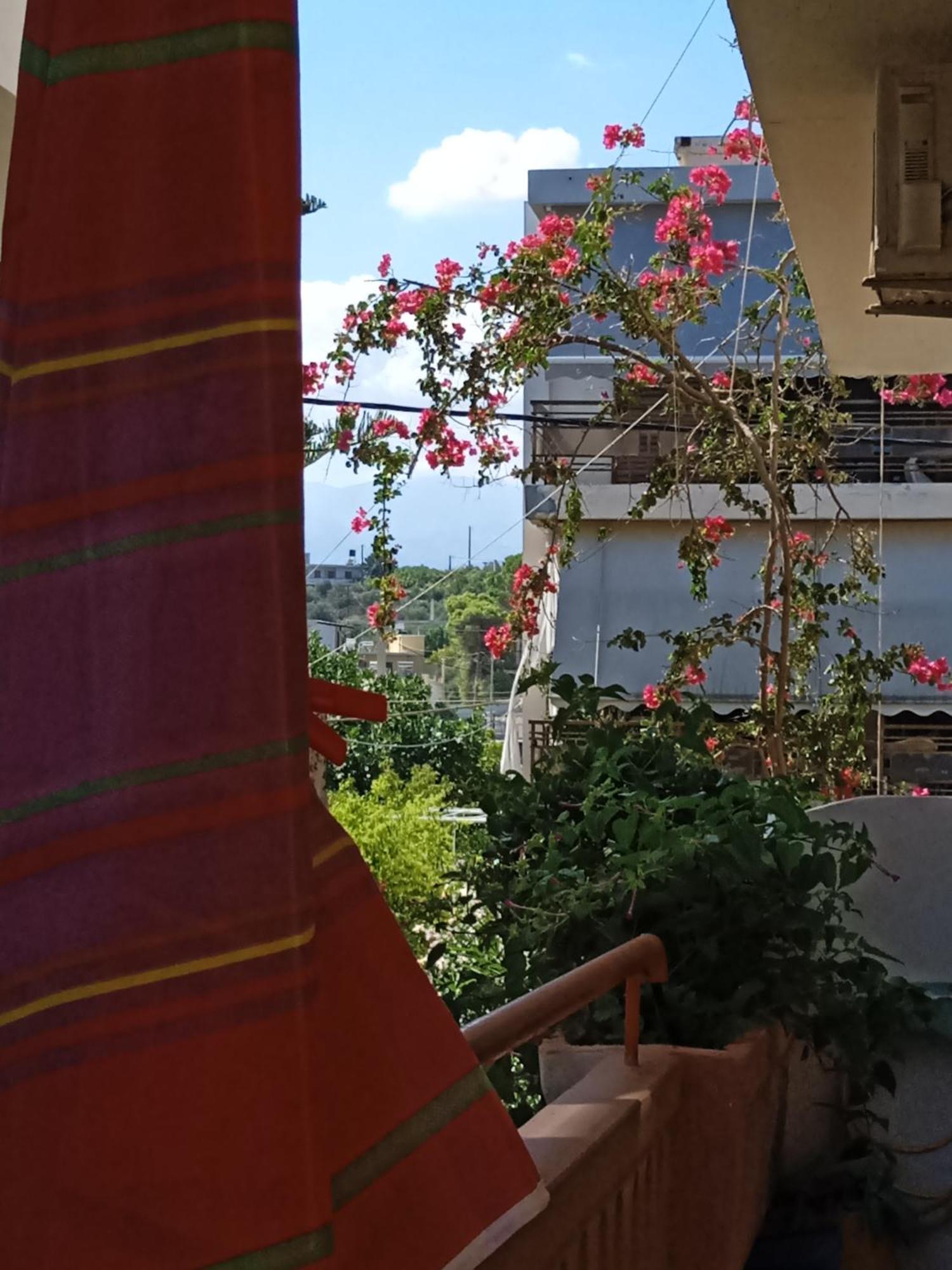Ilona Apartments Chania Kato Daratso Zimmer foto